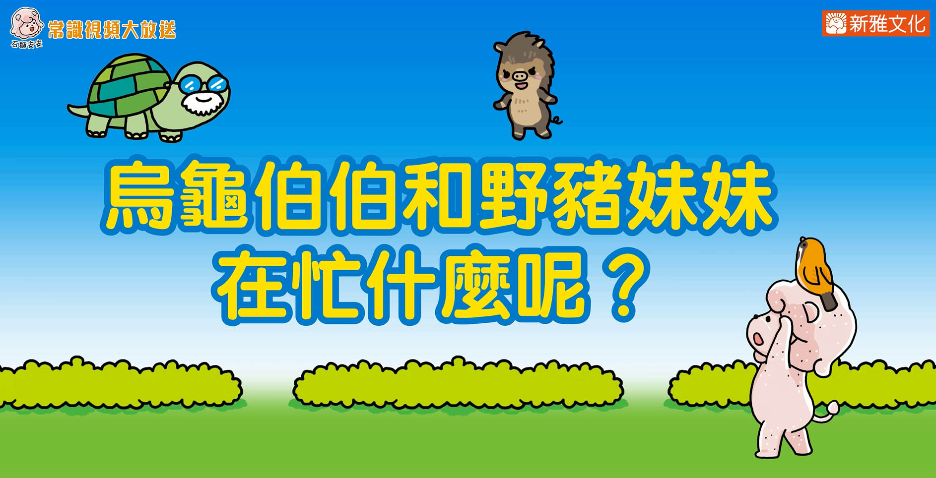 石獅安安常識視頻大放送5︰烏龜伯伯和野豬妹妹在忙什麼呢？